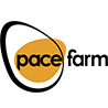 Pace Farm Eggs